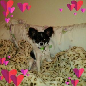 Meet your Posher, Jan